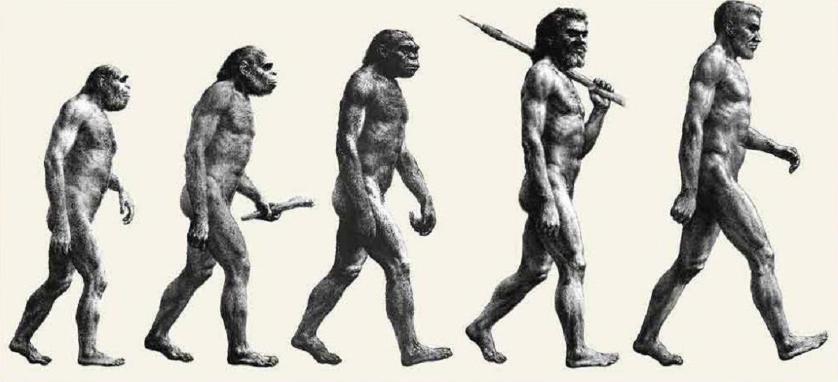 Название современного человека. Эволюция человека хомосапиенс. Хомо Эректус хомо сапиенс хабилис. Питекантроп неандерталец сапиенс. Неандерталец, австралопитек, питекантроп, хомо сапиенс кроманьонец,.